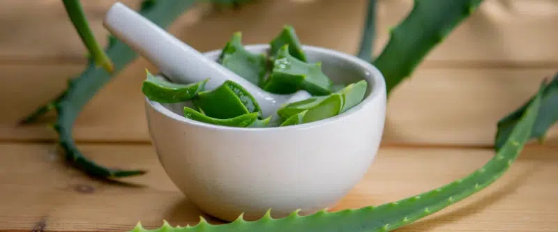 The 7 Benefits of Aloe Vera and 8 Best Tips [4 Precautions]