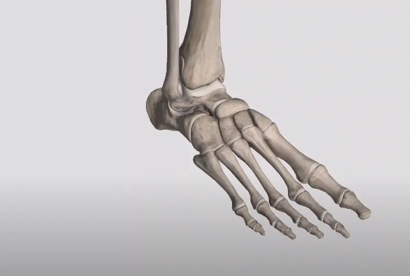7 Precautions for Cycling with Ankle Tendonitis