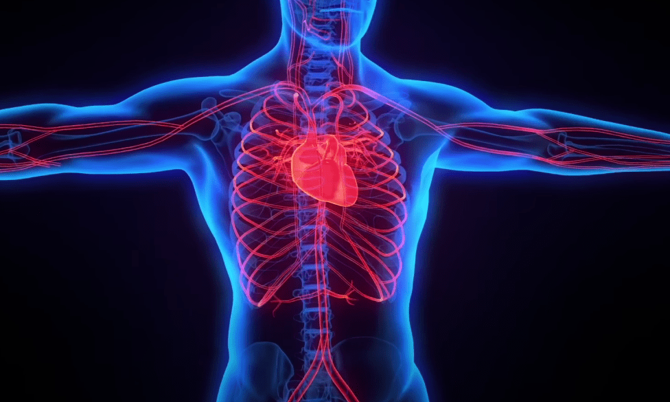 9 Reasons Why Cycling Is Cardiovascular Exercise