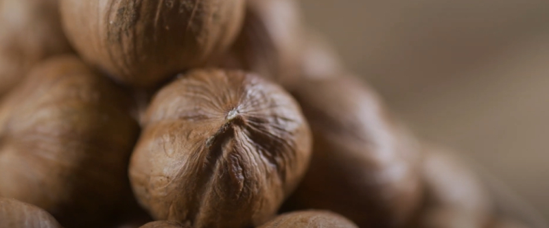 Is Shea Butter Good For Sunburn