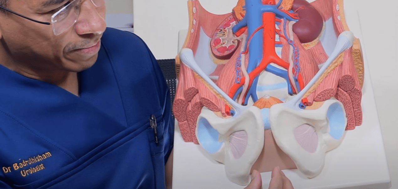 Research on cycling and ED