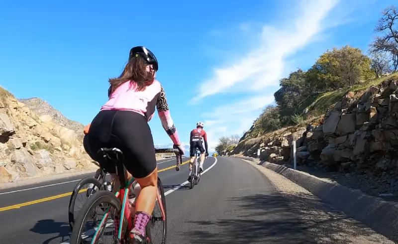 A doctor pointing to a model of the human spine
