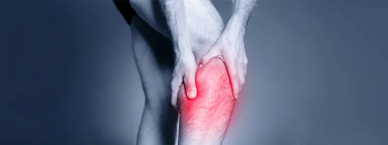 Diagram of leg muscles used in cycling