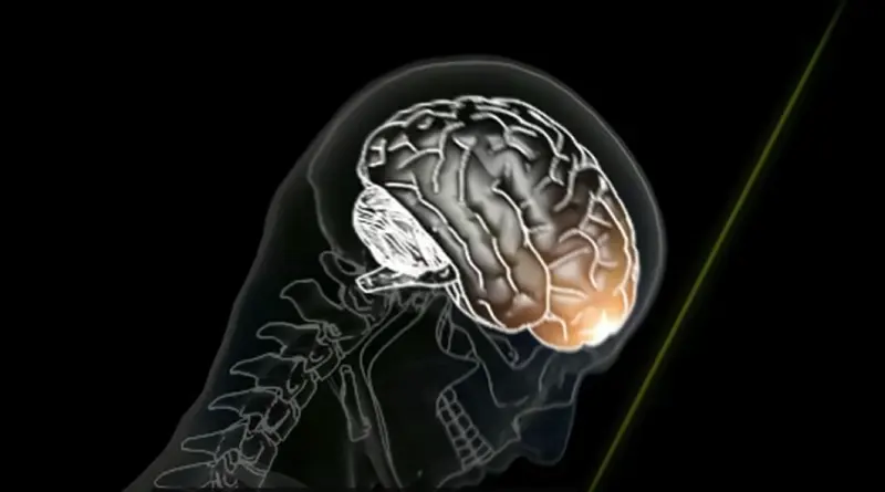 A protected, dedicated bike lane in an urban city