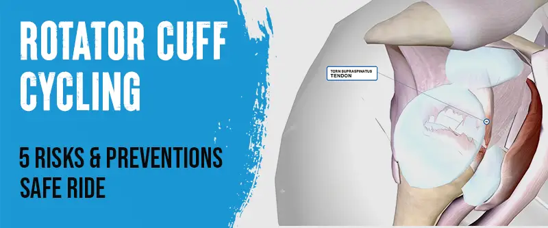Rotator cuff cycling anatomy showing shoulder muscles