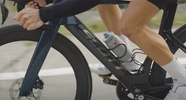 knee joint supported by strong leg muscles