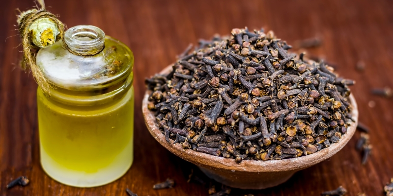 clove oil natural numbing ingredient